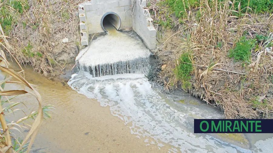 Esgotos de pecuárias continuam a poluir em Pontével