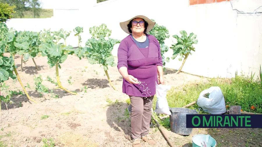 Gracinda Varela é um exemplo a cozer pão e a cuidar da horta na aldeia do Semideiro