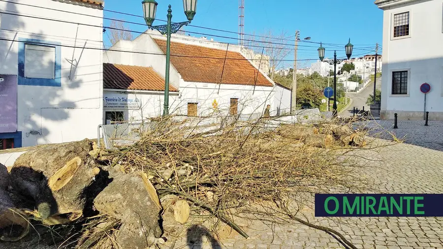 Moradores de Vialonga incrédulos com abate de árvores