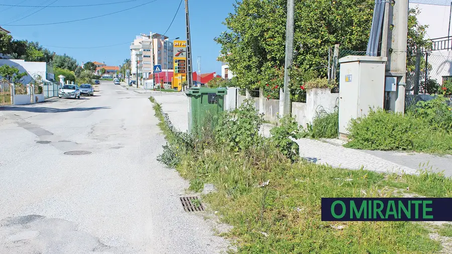 Rua da Cancela do Leão – Torres Novas