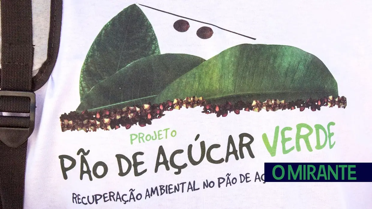 Recuperação ambiental no Rio de Janeiro