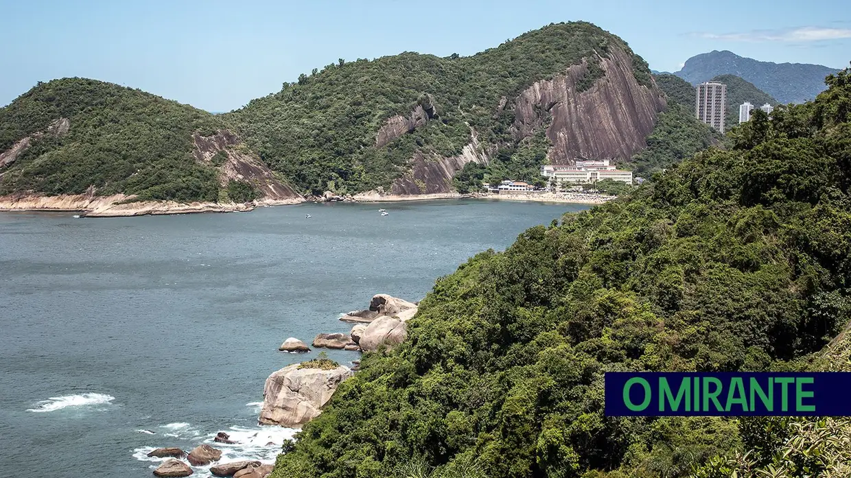 Recuperação ambiental no Rio de Janeiro