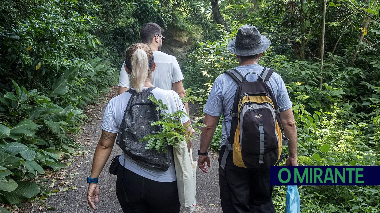 Recuperação ambiental no Rio de Janeiro