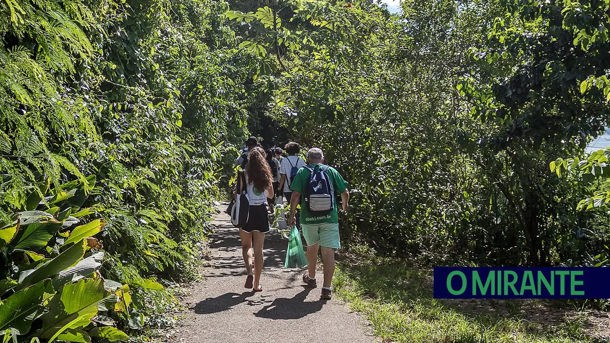 Recuperação ambiental no Rio de Janeiro