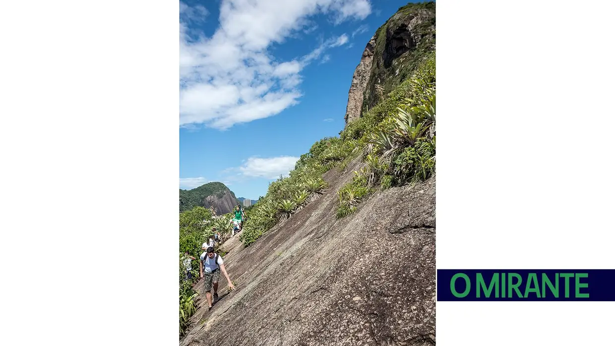 Recuperação ambiental no Rio de Janeiro