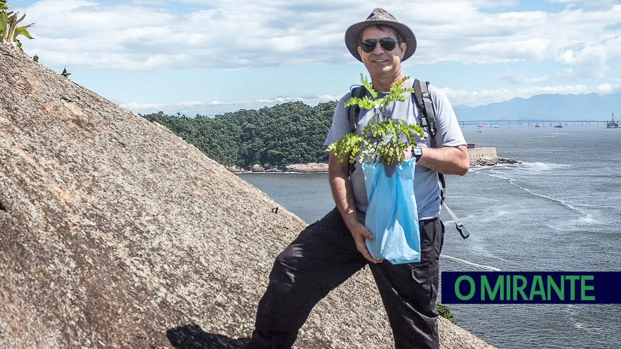 Recuperação ambiental no Rio de Janeiro