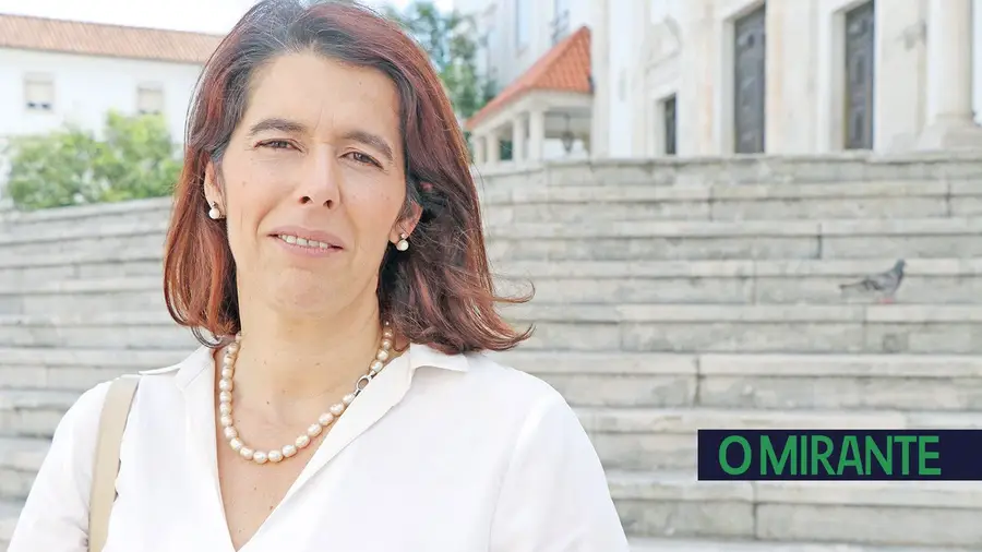 Malditas geringonças! Malditas geringonças!