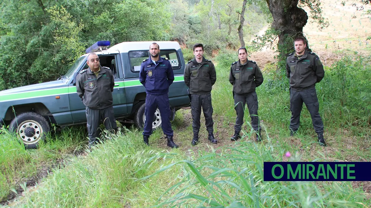 Guarda florestal renasce das cinzas