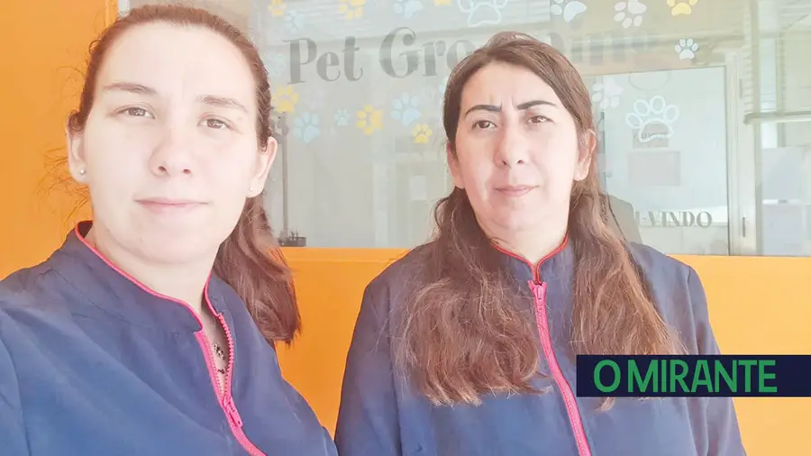 Abriu em Almeirim o centro de estética animal “Puppies & Cia” Abriu em Almeirim o centro de estética animal “Puppies & Cia”