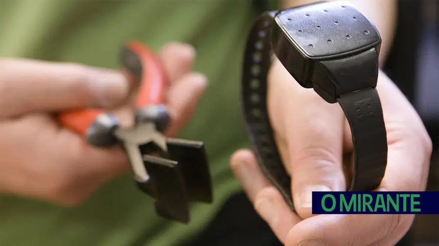 Condutor corta pulseira electrónica após acidente que vitimou menino de seis anos em Samora Correia Condutor corta pulseira electrónica após acidente que vitimou menino de seis anos em Samora Correia
