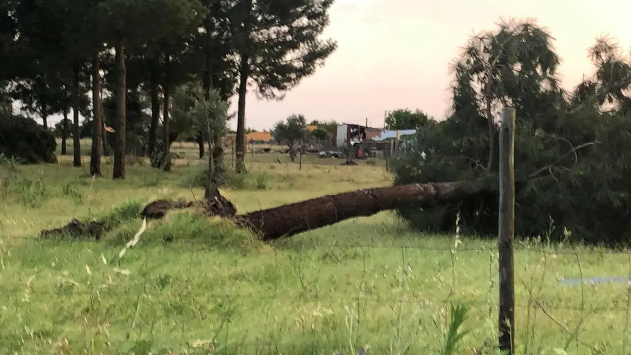 Fenómeno meteorológico causa estragos em Fazendas de Almeirim