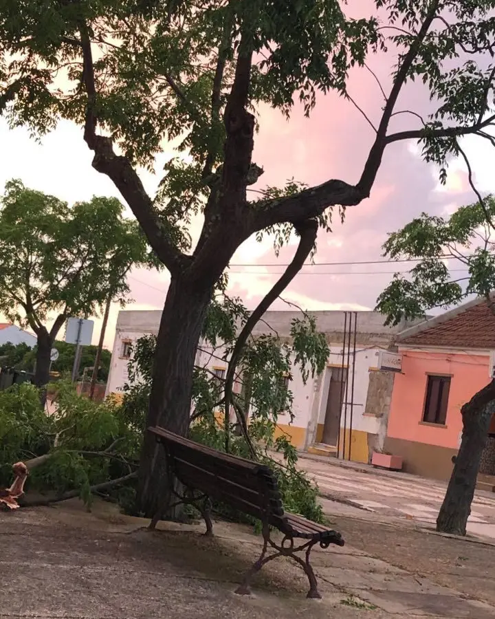 Fenómeno meteorológico causa estragos em Fazendas de Almeirim