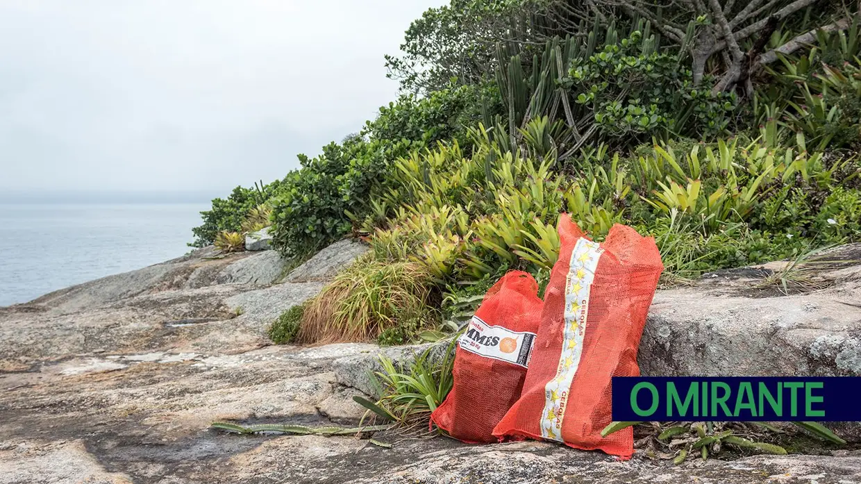 Visita ao arquipélago das Cagarras no Rio de Janeiro