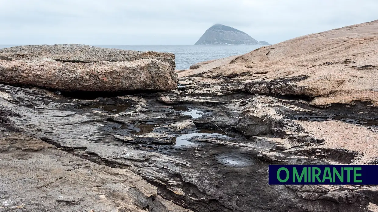 Visita ao arquipélago das Cagarras no Rio de Janeiro