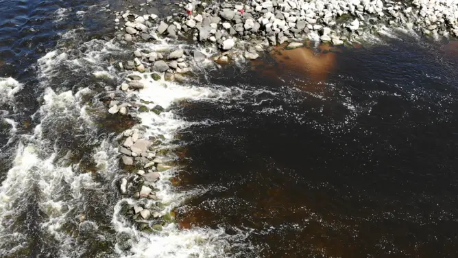 Movimento pelo Tejo alerta para ressurgimento de focos de poluição no rio