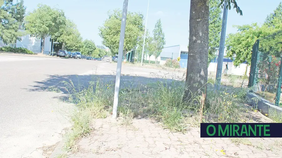 Zona Industrial – Alferrarede (Abrantes)