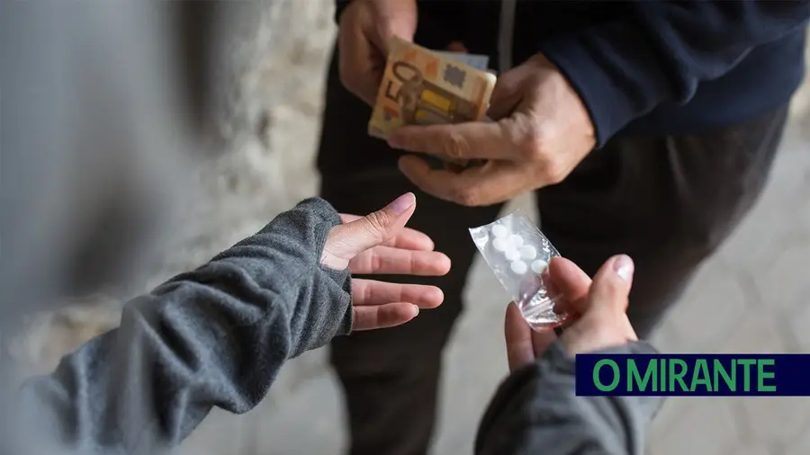 Mais droga apreendida no primeiro trimestre deste ano do que durante todo o ano passado Mais droga apreendida no primeiro trimestre deste ano do que durante todo o ano passado