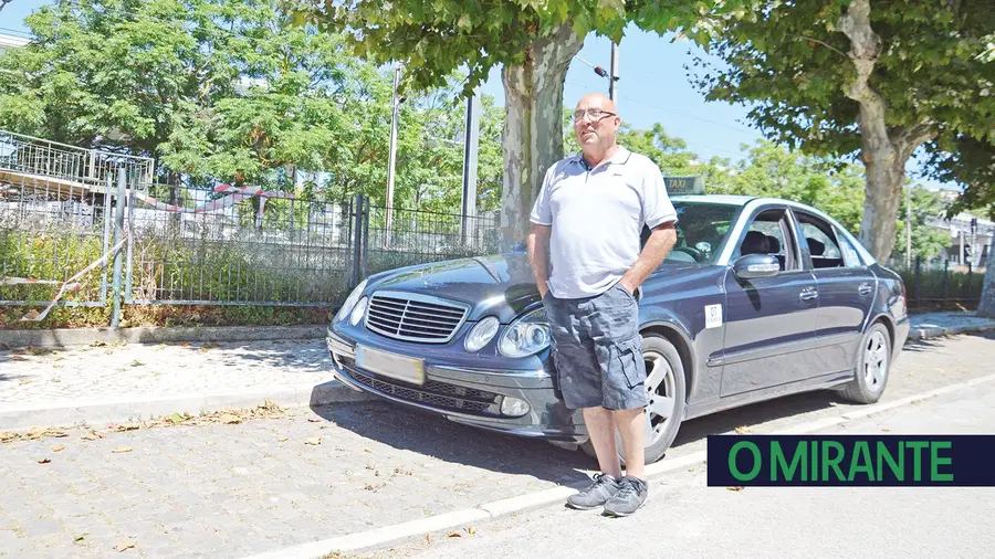 Metade das árvores em avenida de Alhandra está doente