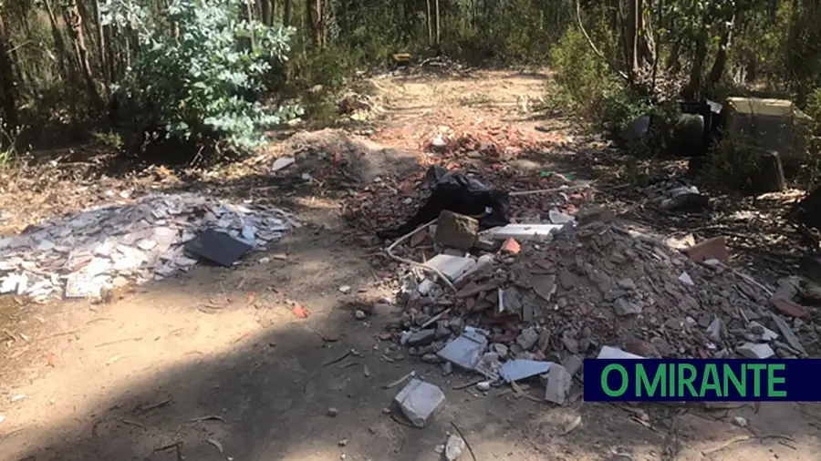 Apanhado a despejar entulho de obras em Azambuja Apanhado a despejar entulho de obras em Azambuja