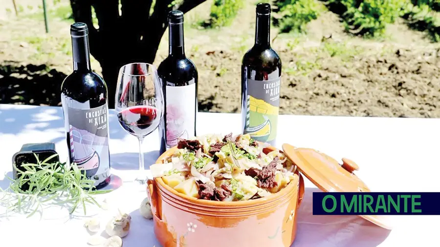 Pornografia gastronómica Pornografia gastronómica