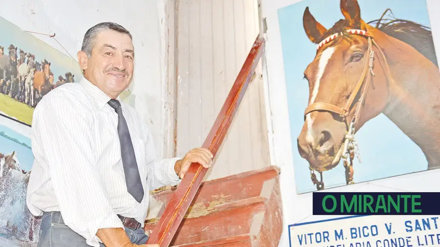 Vila Franca de Xira não pode ser só uma terra de toiros e toureiros Vila Franca de Xira não pode ser só uma terra de toiros e toureiros