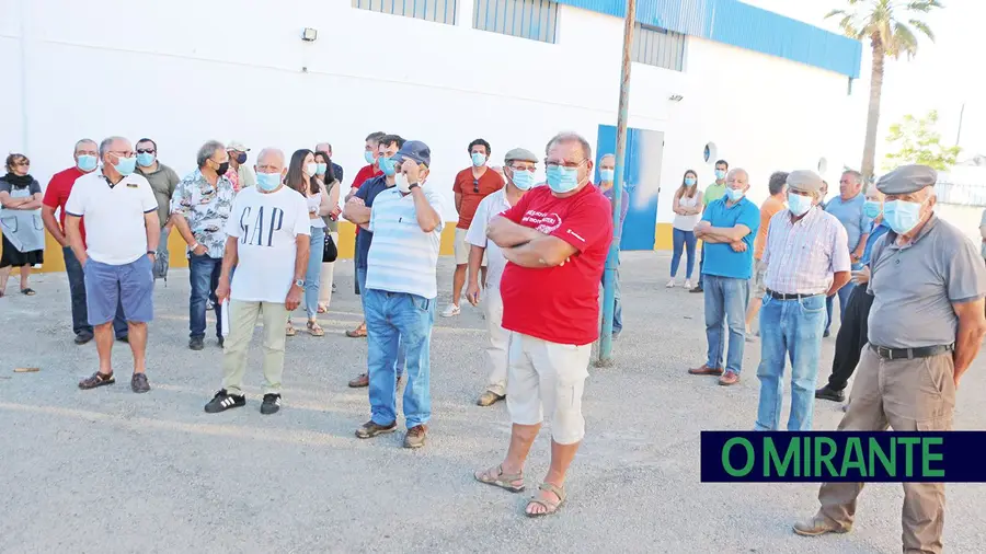 Toiros à solta e um ganadeiro que é uma ameaça para a população Toiros à solta e um ganadeiro que é uma ameaça para a população