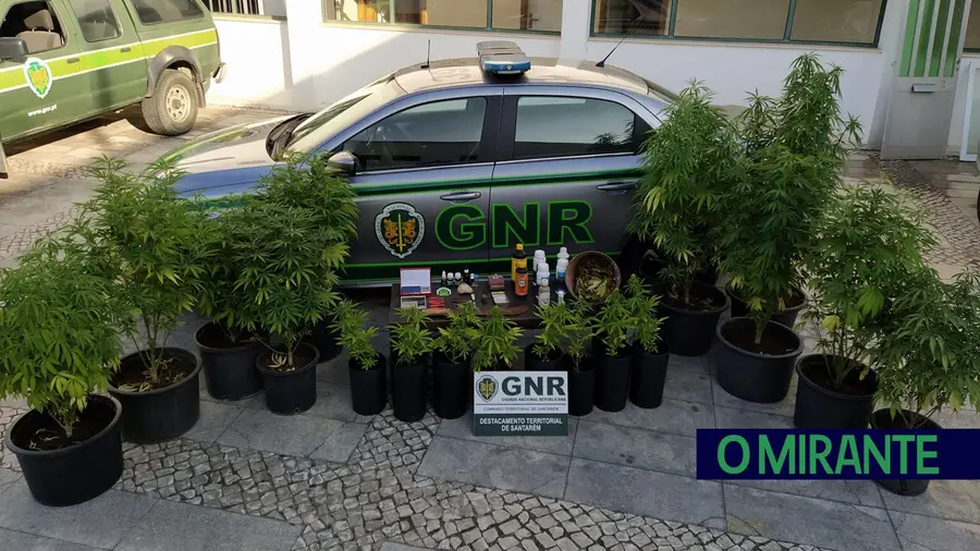 Detidos em Almeirim por suspeita de tráfico de droga