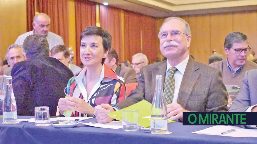 E atrever-se-ão os nabos a crescer sem o Ministério da Agricultura? E atrever-se-ão os nabos a crescer sem o Ministério da Agricultura?