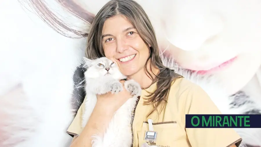 “Governantes ainda não estão sensibilizados para os direitos dos animais” “Governantes ainda não estão sensibilizados para os direitos dos animais”