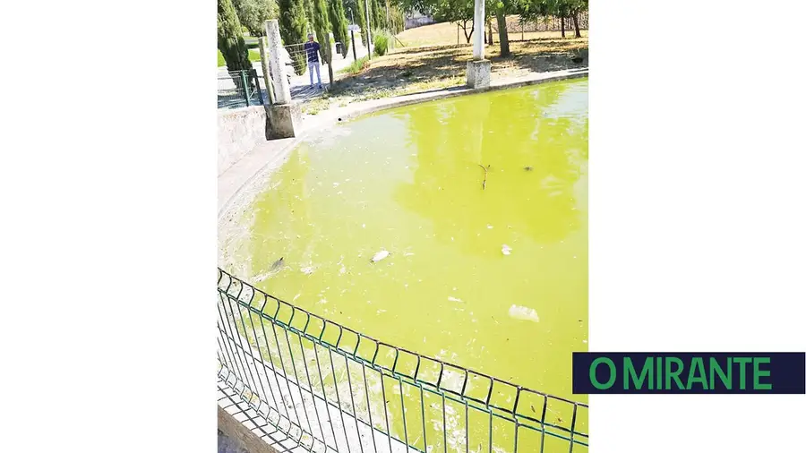 Verdes anos Verdes anos