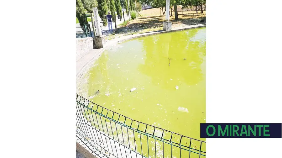 Cidadãos denunciam condições precárias para os animais da Quinta Municipal da Piedade