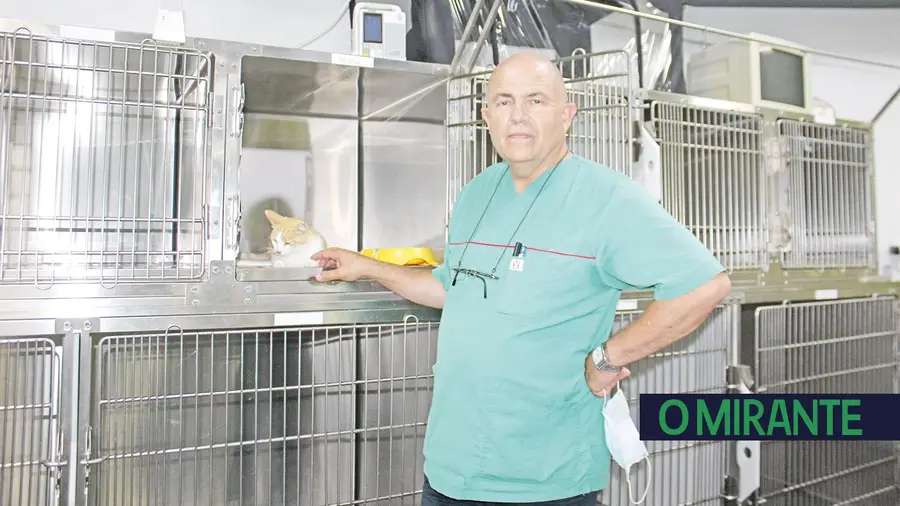 Há muita gente que não coloca chip nos seus animais de companhia Há muita gente que não coloca chip nos seus animais de companhia