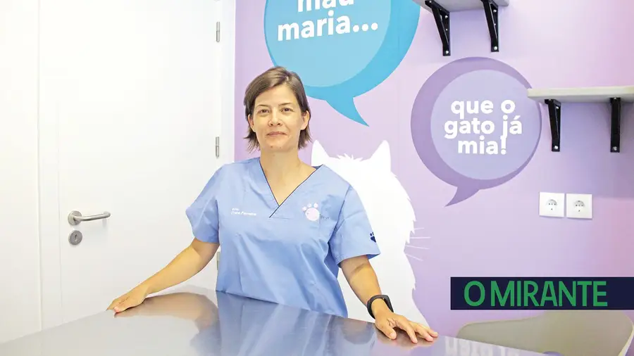 “Torres Novas é uma cidade com qualidade de vida e segura” “Torres Novas é uma cidade com qualidade de vida e segura”