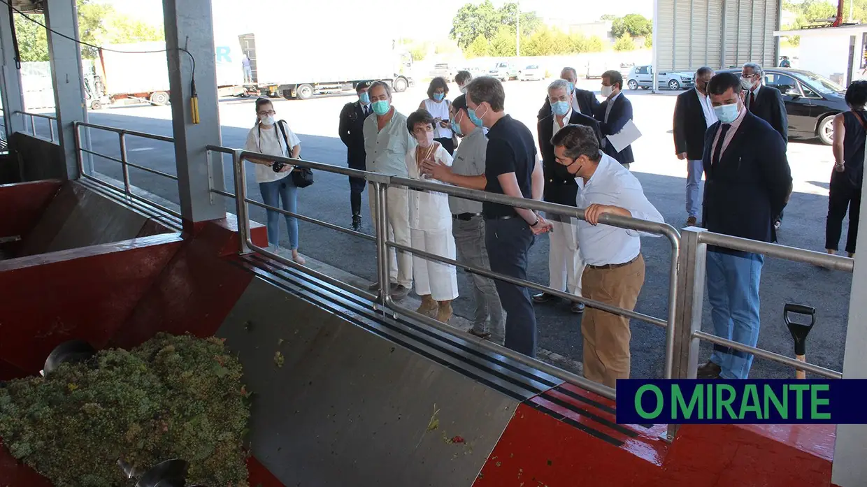 Ministra da Agricultura visita vindimas no Cartaxo e Alpiarça