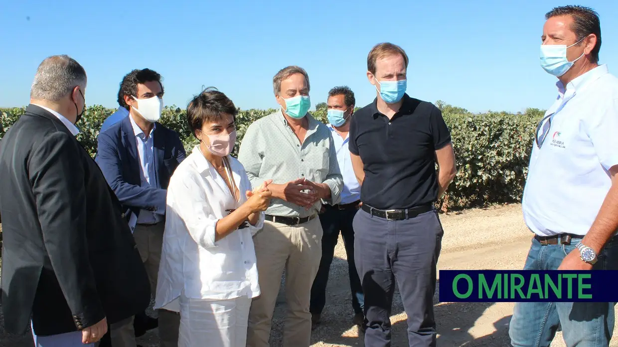 Ministra da Agricultura visita vindimas no Cartaxo e Alpiarça