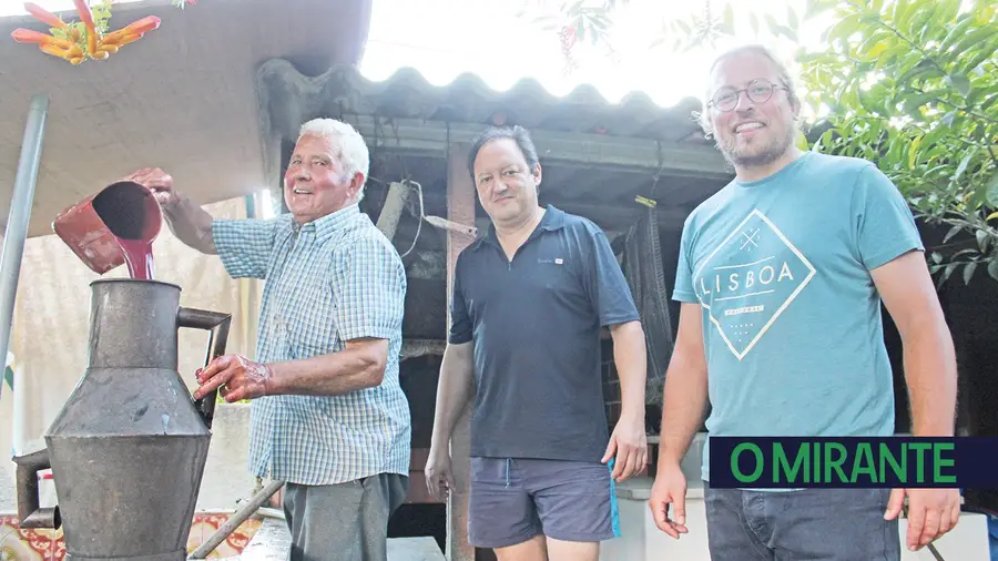 Fazer vinho com os pés num tanque de lavar roupa Fazer vinho com os pés num tanque de lavar roupa