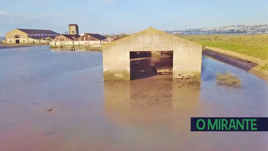 VFX indignada com atraso nas obras para salvar o Mouchão da Póvoa VFX indignada com atraso nas obras para salvar o Mouchão da Póvoa