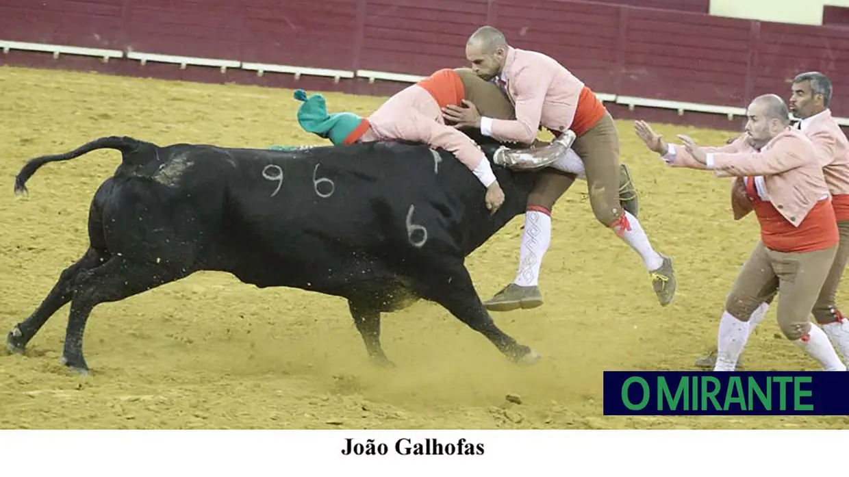 Corrida de toiros no Campo Pequeno em noite de homenagens