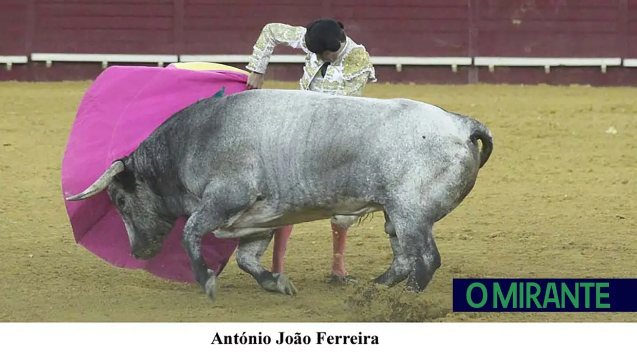 Corrida de toiros no Campo Pequeno em noite de homenagens