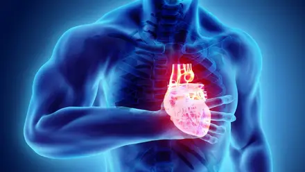 Insuficiência cardíaca pode ser tratada mais rapidamente com combinação de tratamentos