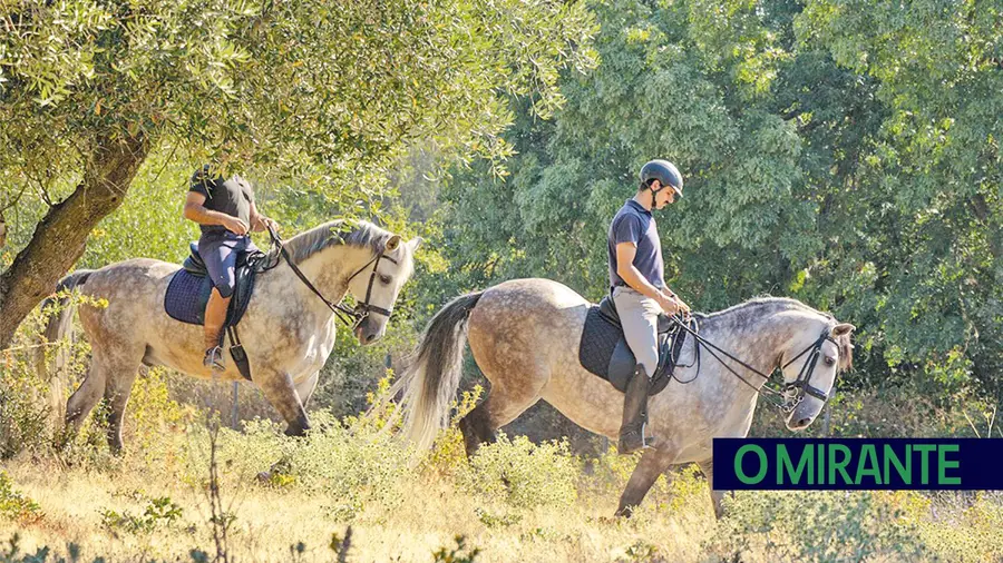 Passeios “Cavalos na Lagoalva” partem da recuperada Casa de Chá da Quinta Passeios “Cavalos na Lagoalva” partem da recuperada Casa de Chá da Quinta