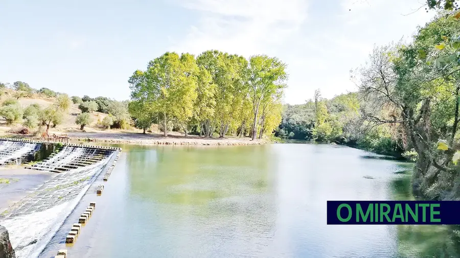 Limpeza no Nabão para desobstruir rio em Tomar