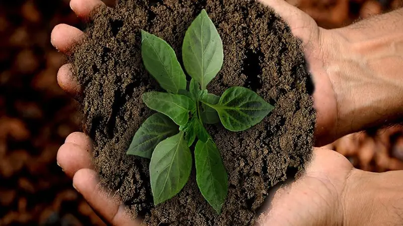Confagri quer valorizar desenvolvimento rural e ambiente na política agrícola Confagri quer valorizar desenvolvimento rural e ambiente na política agrícola