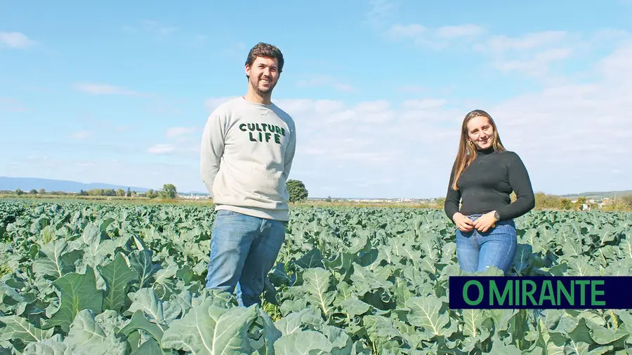 Casal de jovens da Carregueira quer vingar na agricultura Casal de jovens da Carregueira quer vingar na agricultura