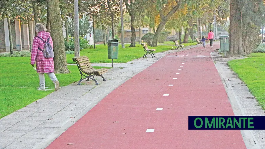 Oposição considera desastrosa a obra da ciclovia de Samora Correia