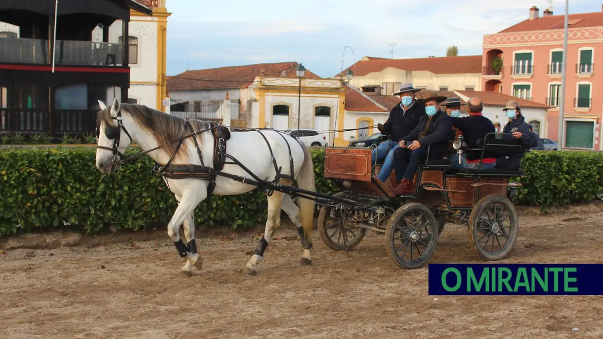 Um dia de São Martinho só para quem é da Golegã