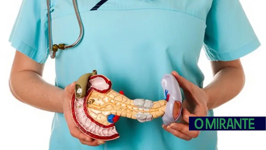 Cancro do pâncreas mata quase 1.600 pessoas por ano em Portugal Cancro do pâncreas mata quase 1.600 pessoas por ano em Portugal