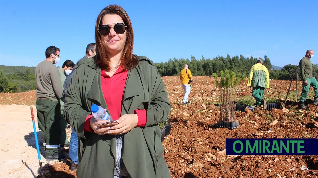 Monsanto assinala Dia da Floresta Autóctone com florestação de escombreira