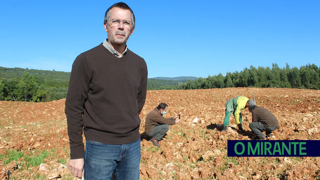 Monsanto assinala Dia da Floresta Autóctone com florestação de escombreira