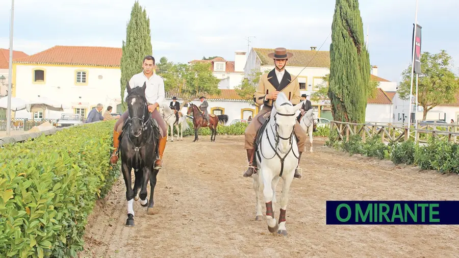 O turismo equestre é uma referência na Golegã O turismo equestre é uma referência na Golegã